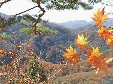 揭秘神秘現象，探索潮紅奇異與不斷聳動的奧秘