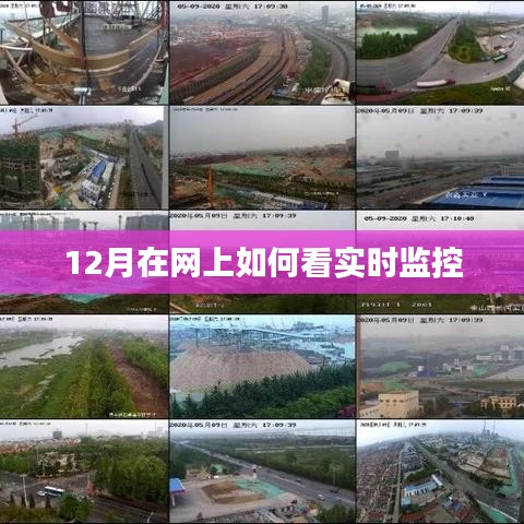 12月網上實時監控觀看攻略