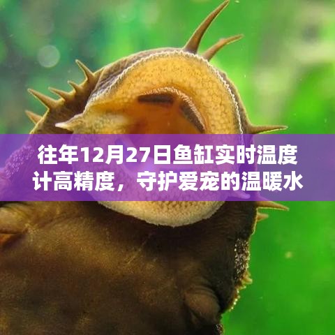公司簡(jiǎn)介 第98頁(yè)