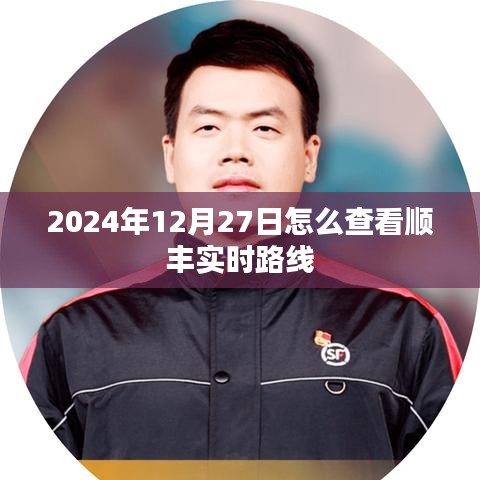 順豐實時路線查詢指南，如何查看順豐快遞實時動態