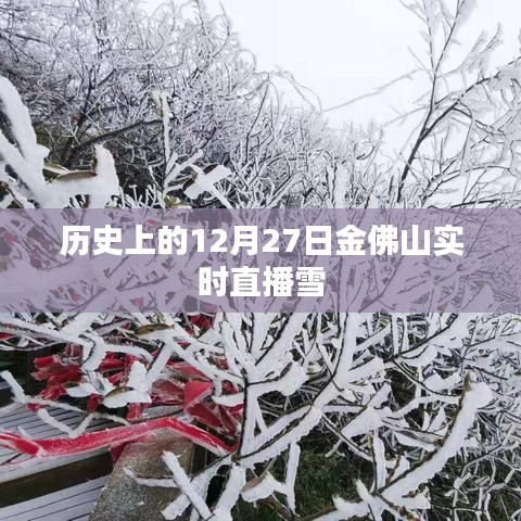 金佛山雪景直播回顧，歷史上的雪韻風華