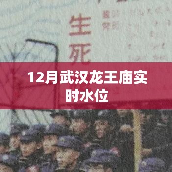 武漢龍王廟最新實時水位信息