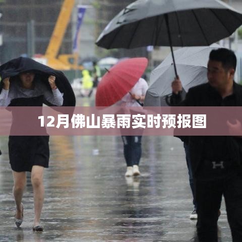 佛山12月暴雨預報圖實時更新