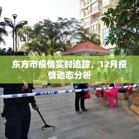 東方市疫情實時追蹤與動態(tài)分析報告，12月疫情分析