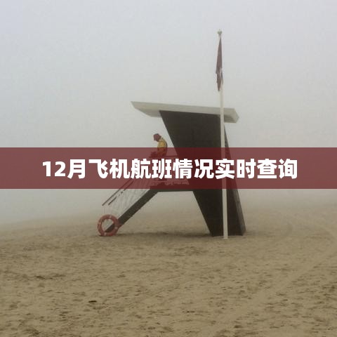 12月飛機航班實時查詢情況更新