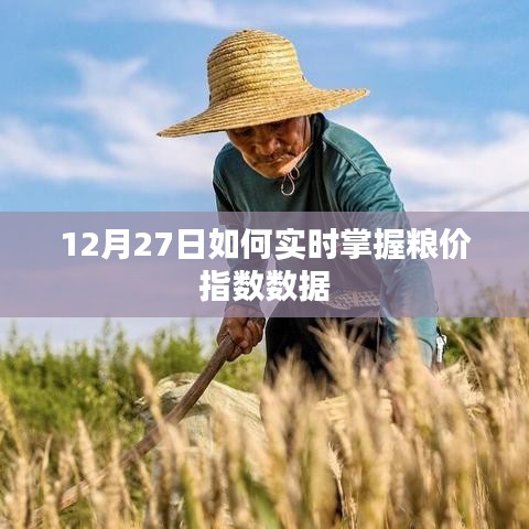 成功案例 第91頁