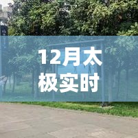 太極實時單，12月實戰體驗分享
