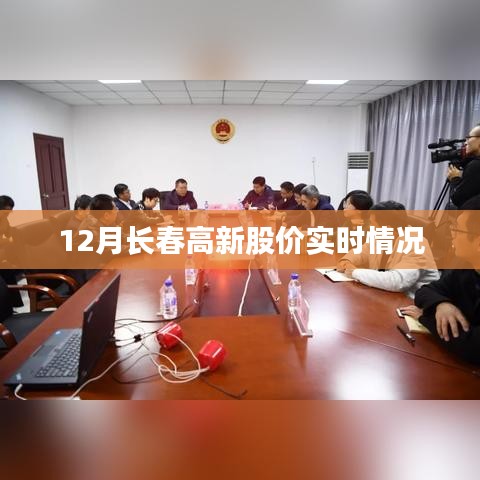 長春高新股價12月最新動態