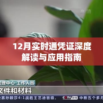 12月實時通憑證解讀與應用指南，深度解析