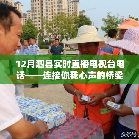 泗縣直播電視臺電話，連接您我心聲的通信橋梁