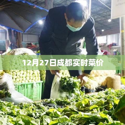 成都最新菜價(jià)，12月27日實(shí)時(shí)更新