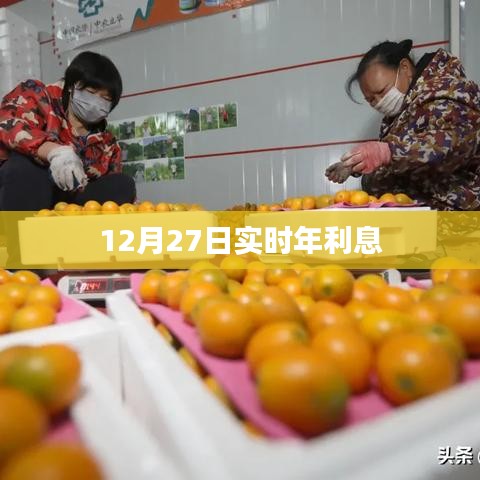 12月27日最新實(shí)時(shí)年利息查詢