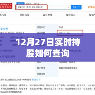 12月27日實時持股查詢方法與步驟