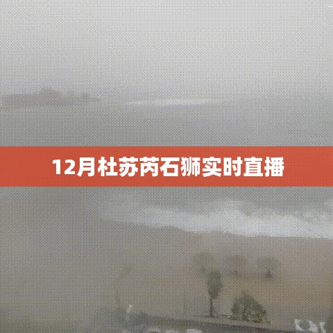 2025年1月 第529頁