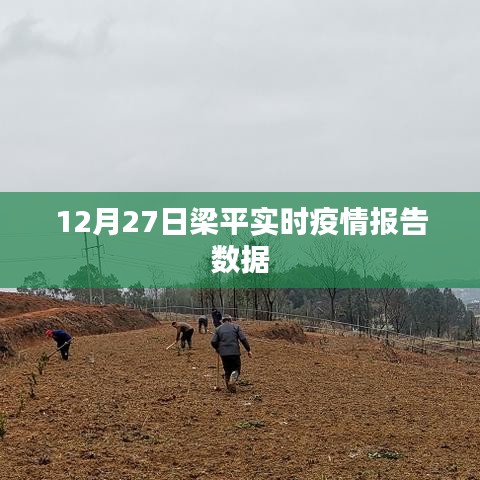 梁平實時疫情報告數據更新（12月27日）