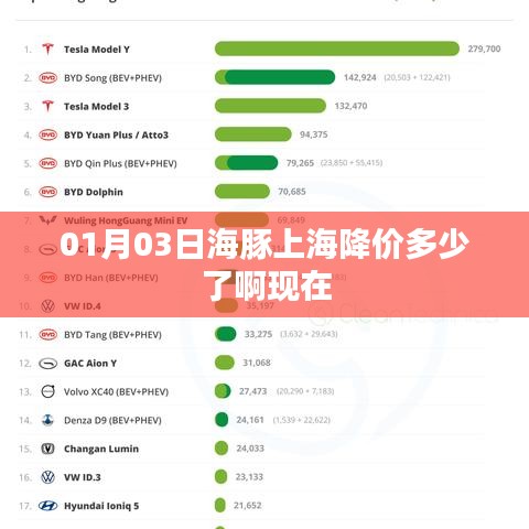 上海海豚最新降價信息，今日價格變動揭曉