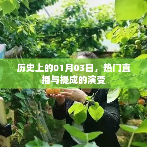 熱門直播與提成的演變歷程，回顧歷史上的1月3日