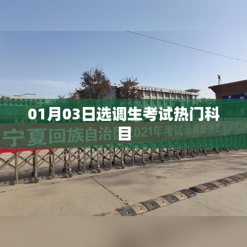 選調生考試熱門科目解析