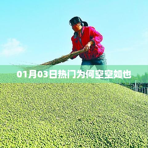 01月03日熱門為何無內容展示？