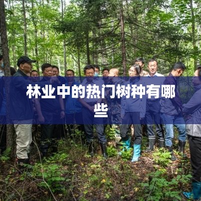 林業熱門樹種簡介