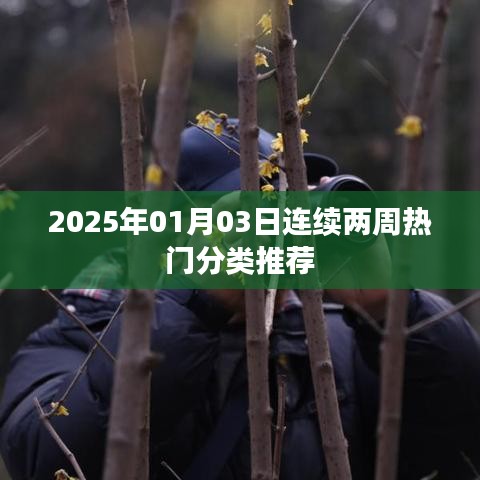連續兩周熱門分類推薦，2025年最新動態