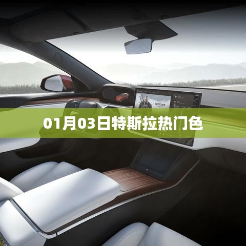 特斯拉熱門色概覽 01月03日新動態