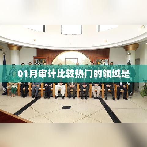 01月審計熱門領(lǐng)域概覽