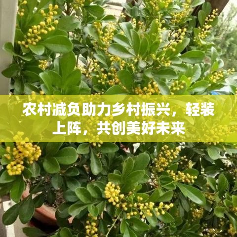 農村減負助力鄉村振興，輕裝上陣，共創美好未來