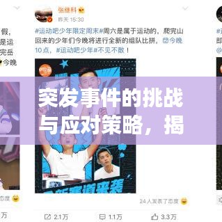 突發事件的挑戰與應對策略，揭秘未知領域，探索應對之道