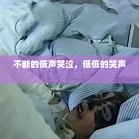 不斷的低聲哭泣，低低的哭聲