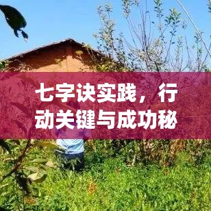 七字訣實踐，行動關鍵與成功秘訣