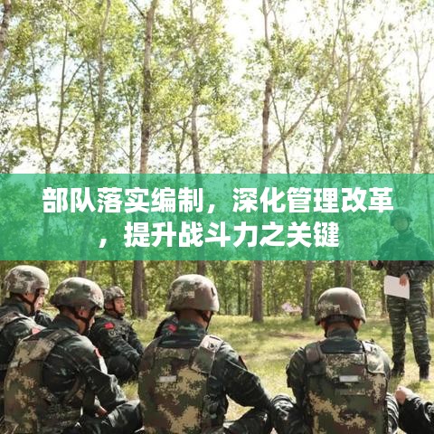 部隊落實編制，深化管理改革，提升戰斗力之關鍵