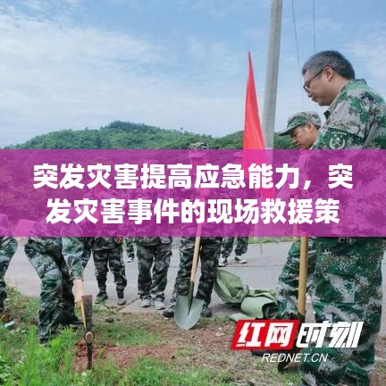突發災害提高應急能力，突發災害事件的現場救援策略