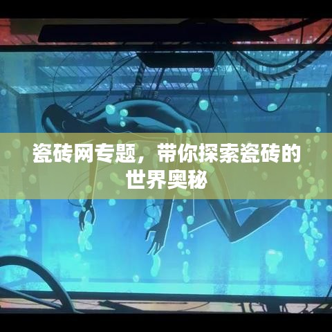 瓷磚網專題，帶你探索瓷磚的世界奧秘