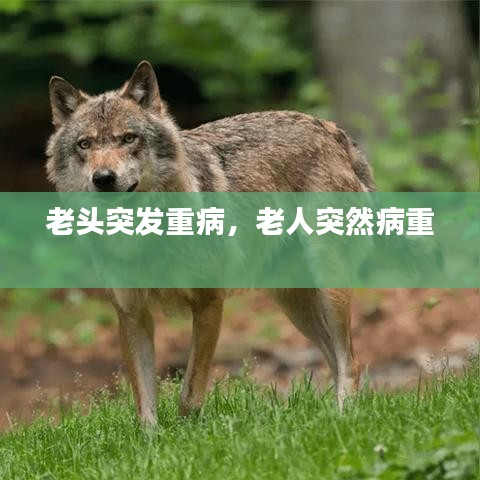 老頭突發重病，老人突然病重