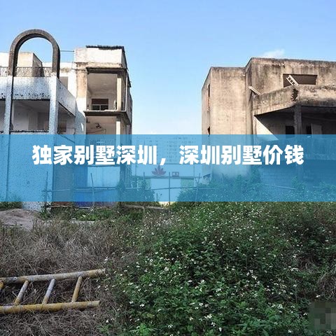 獨家別墅深圳，深圳別墅價錢