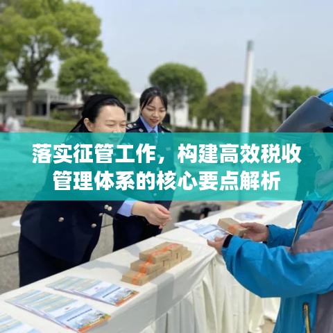 落實征管工作，構建高效稅收管理體系的核心要點解析