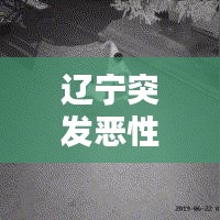 遼寧突發惡性刑案，遼寧行兇