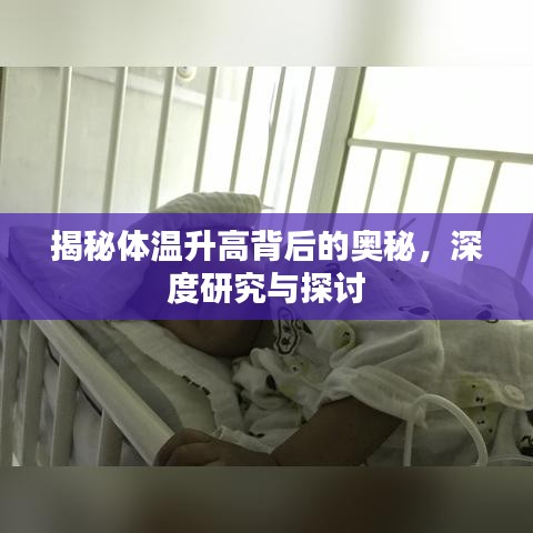 揭秘體溫升高背后的奧秘，深度研究與探討