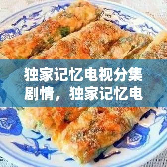 獨家記憶電視分集劇情，獨家記憶電視劇劇情簡介