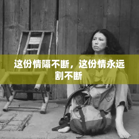 這份情隔不斷，這份情永遠割不斷