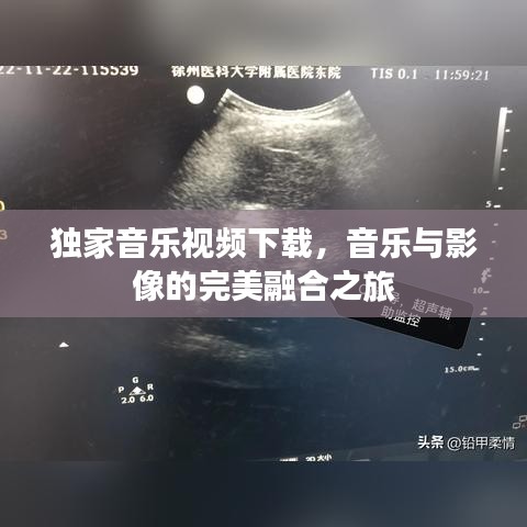 獨家音樂視頻下載，音樂與影像的完美融合之旅