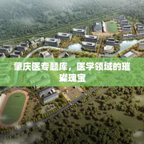 肇慶醫專題庫，醫學領域的璀璨瑰寶