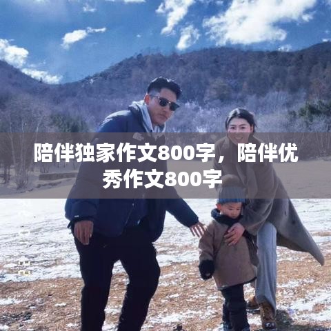 陪伴獨家作文800字，陪伴優秀作文800字