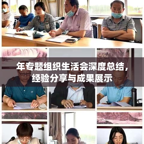 年專題組織生活會(huì)深度總結(jié)，經(jīng)驗(yàn)分享與成果展示