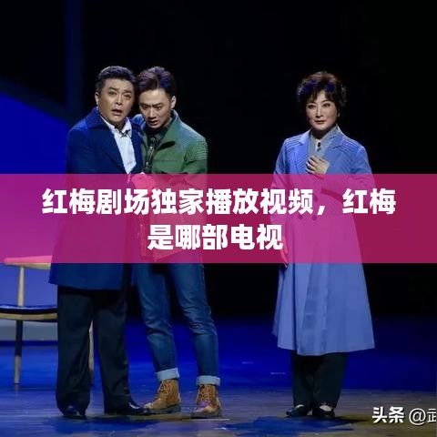 紅梅劇場獨家播放視頻，紅梅是哪部電視