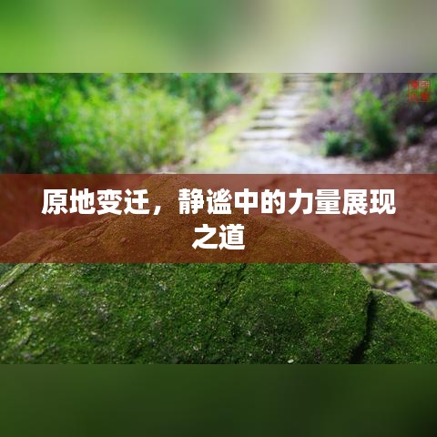 原地變遷，靜謐中的力量展現之道
