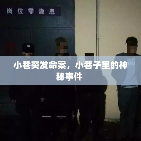 小巷突發(fā)命案，小巷子里的神秘事件