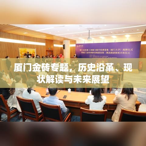 廈門金磚專題，歷史沿革、現(xiàn)狀解讀與未來展望
