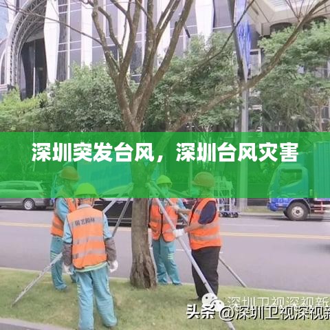 深圳突發臺風，深圳臺風災害